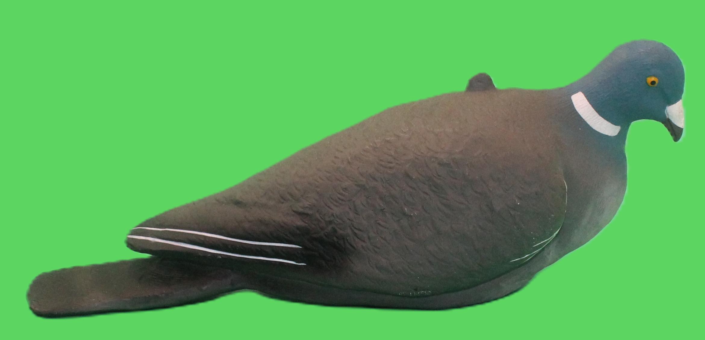 Flexi Coy RH